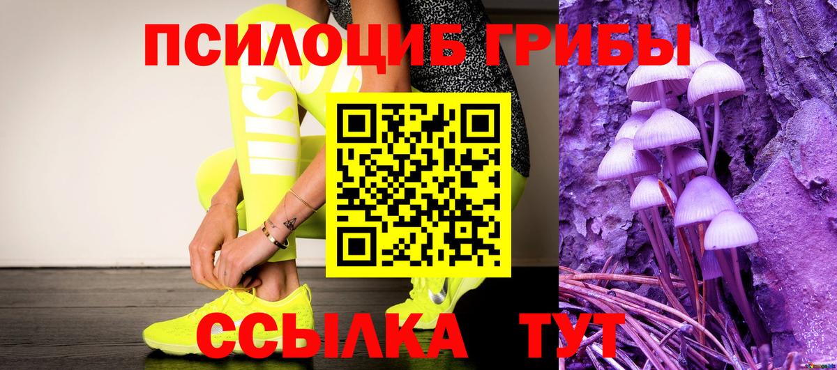 Псилоцибиновые грибы Psilocybe  Вход с VPN  Подольск 